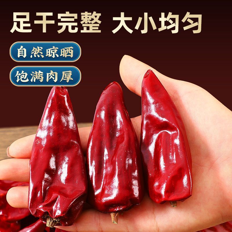 河南安阳北京红不辣干辣椒板椒微辣特香河南红油专用辣椒批发