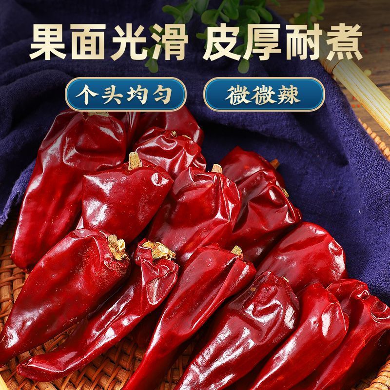 河南安阳北京红不辣干辣椒板椒微辣特香河南红油专用辣椒批发
