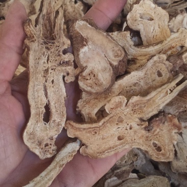 无硫白术中药批发一手货源量大忧惠全国发货