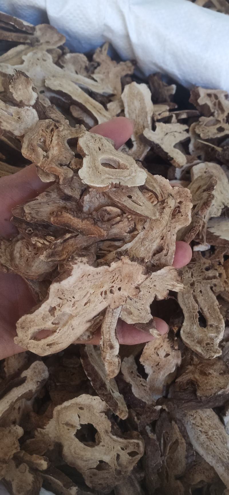 无硫白术中药批发一手货源量大忧惠全国发货