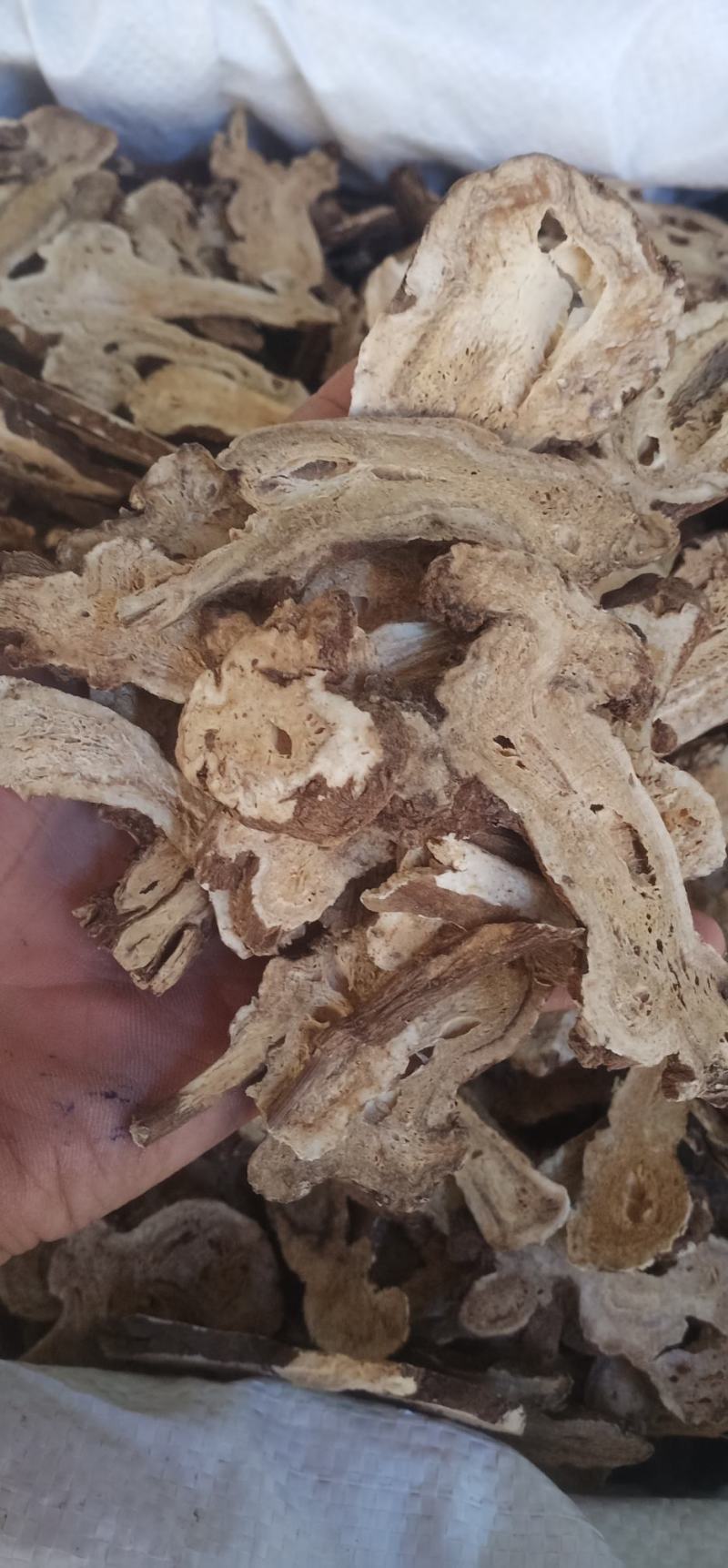 无硫白术中药批发一手货源量大忧惠全国发货