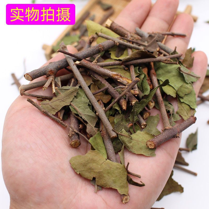 中药材大货供应源头供野生桑寄生茶广西桑寄生批发