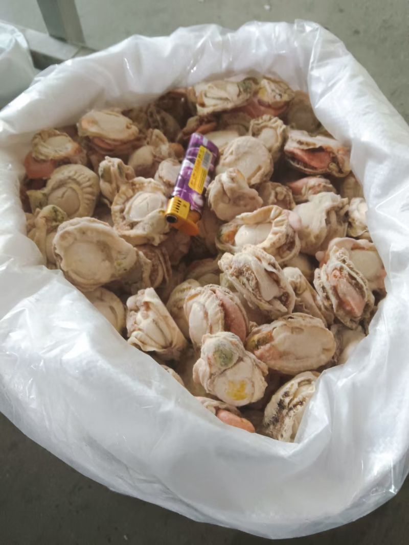 扇贝肉新鲜扇贝肉储量大品质好OEM