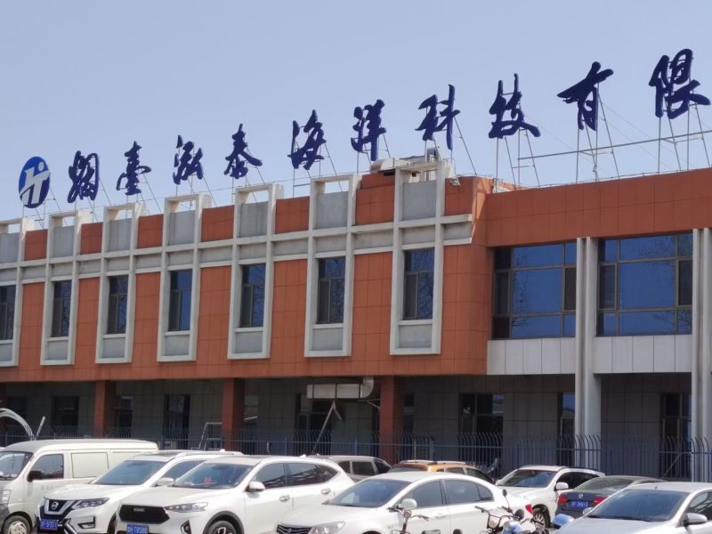 扇贝肉新鲜扇贝肉储量大品质好OEM