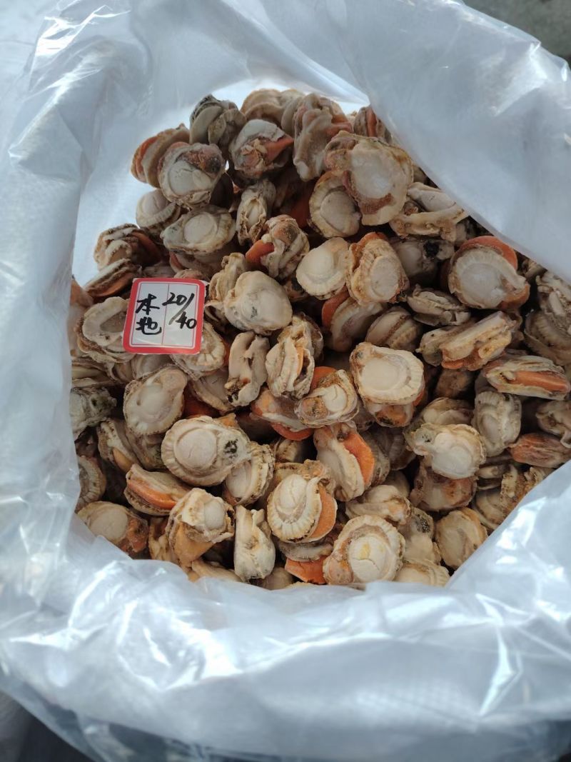 扇贝肉新鲜扇贝肉储量大品质好OEM