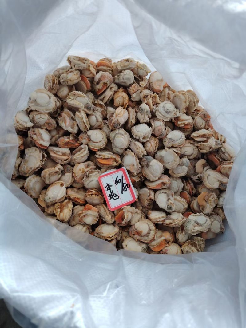 扇贝肉新鲜扇贝肉储量大品质好OEM