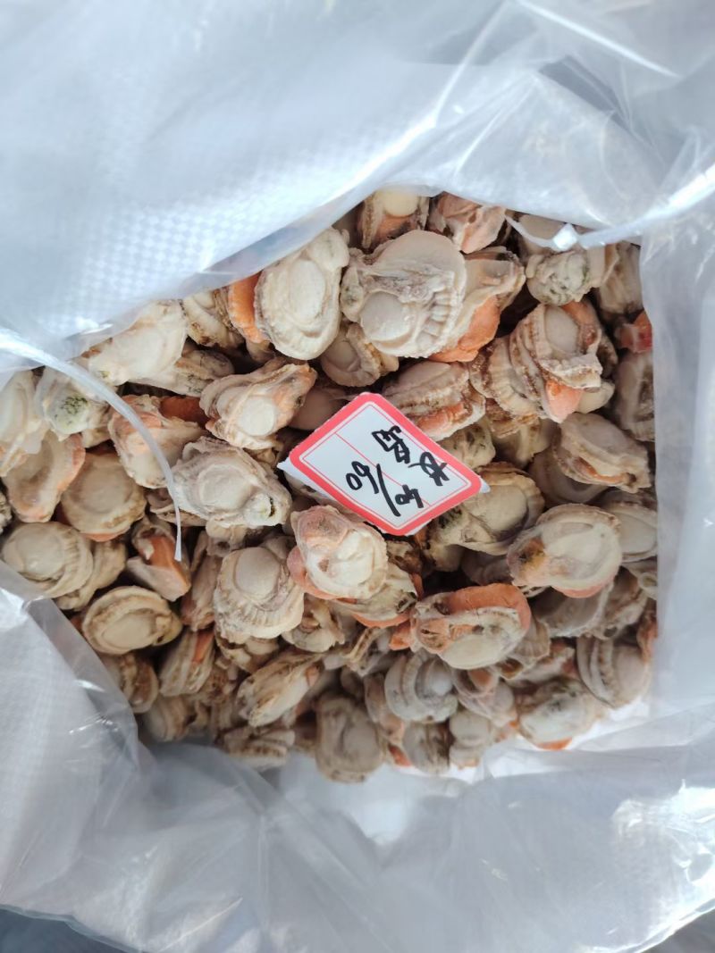 扇贝肉新鲜扇贝肉储量大品质好OEM