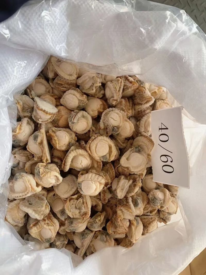 扇贝肉新鲜扇贝肉储量大品质好OEM