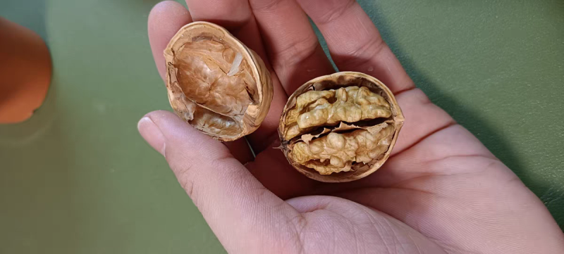 新货正宗新疆薄皮185纸皮核桃坚果阿克苏原味新疆纸皮核桃