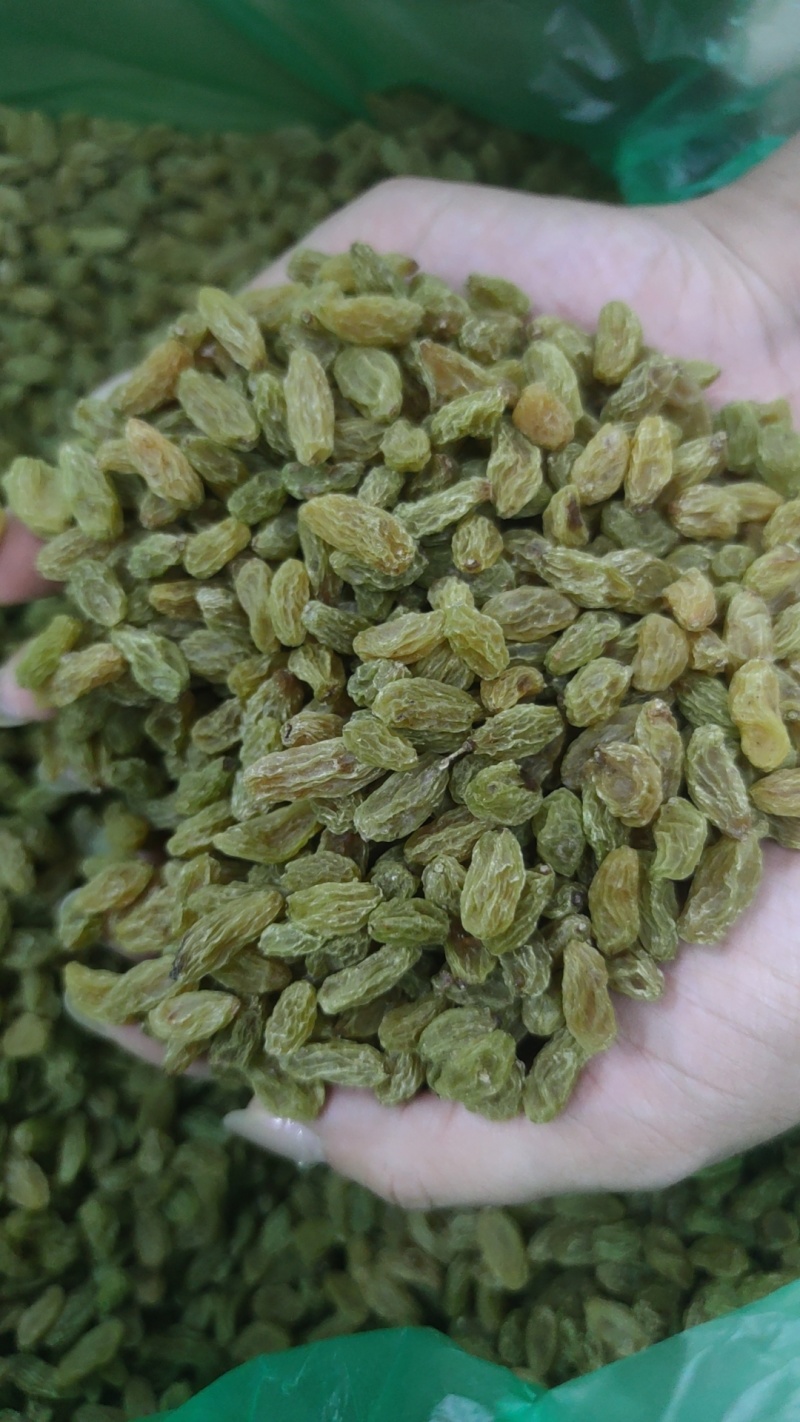河南郑州新货葡萄干，中绿大绿通货葡萄干产地直供
