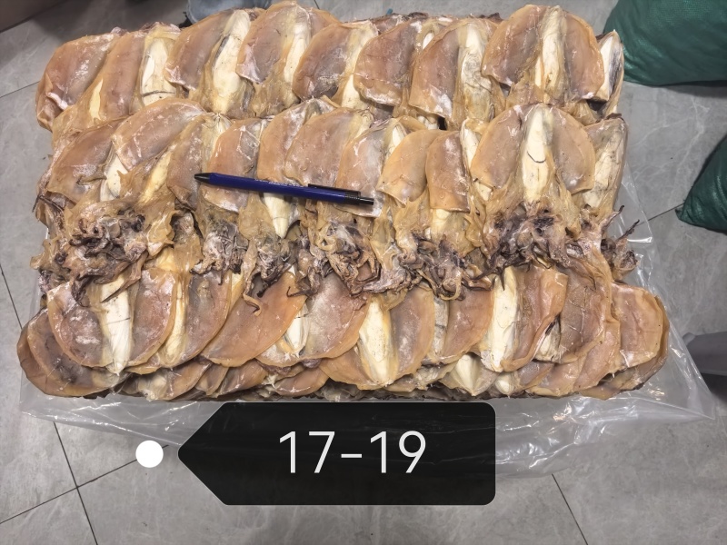 浙江东海墨鱼17-19个一斤对接各大商超