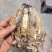 浙江东海墨鱼17-19个一斤对接各大商超