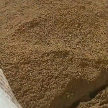 烘干餐厨粉适合猪牛羊鸡鸭鹅