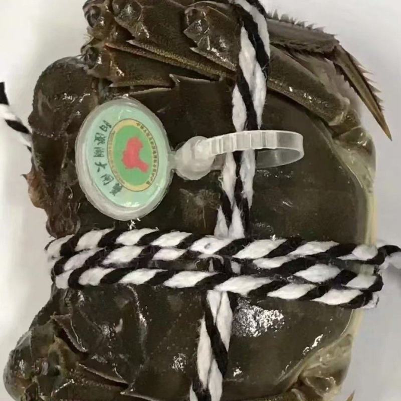 阳澄湖大闸蟹湖蟹假一赔三