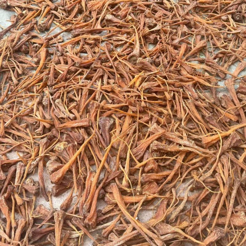 藏雪参大条雪人参颜色好雪参无碎藏血参足干完整大货批发代发