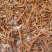 藏雪参大条雪人参颜色好雪参无碎藏血参足干完整大货批发代发
