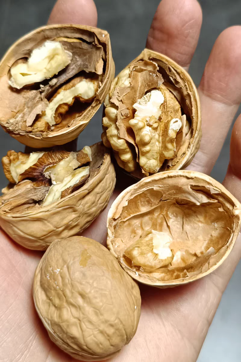 新货正宗新疆薄皮185纸皮核桃坚果阿克苏原味新疆纸皮核桃