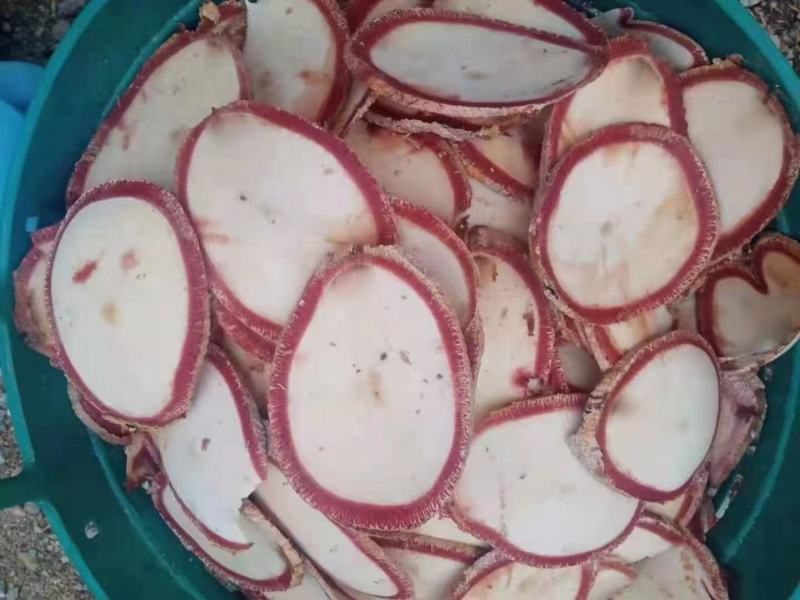 泰国红葛根红高颗艳紫铆泡酒料泡茶煮水代打粉大货批发代发