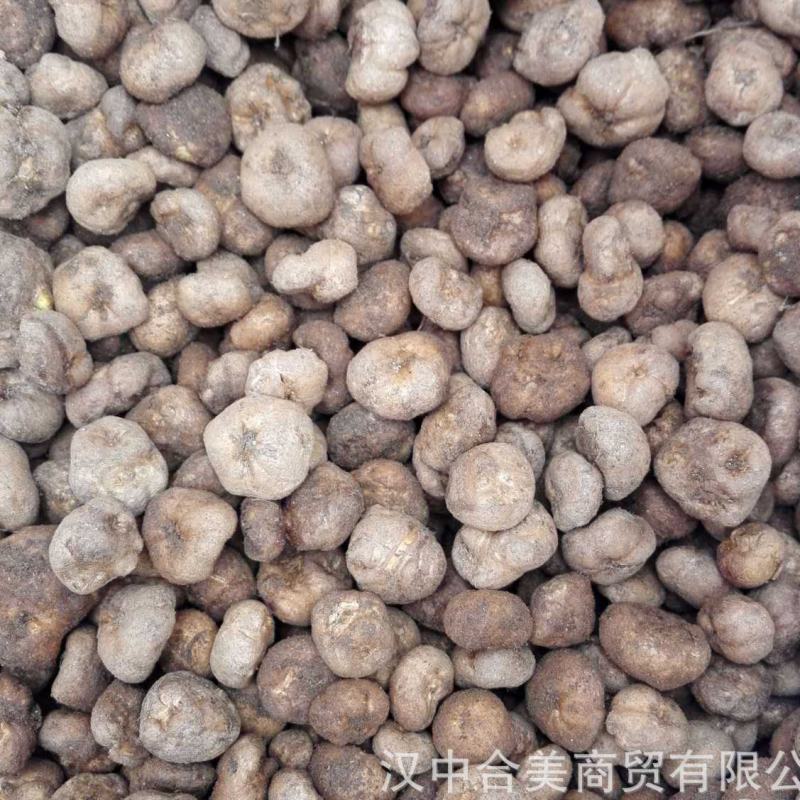 汉中元胡
