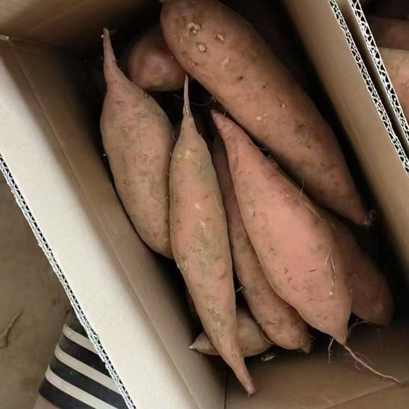烟薯电商一件代发