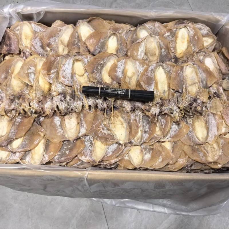 浙江东海本港墨鱼干品质好货量大从优