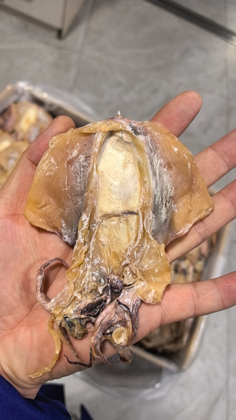 浙江东海本港墨鱼干品质好货量大从优