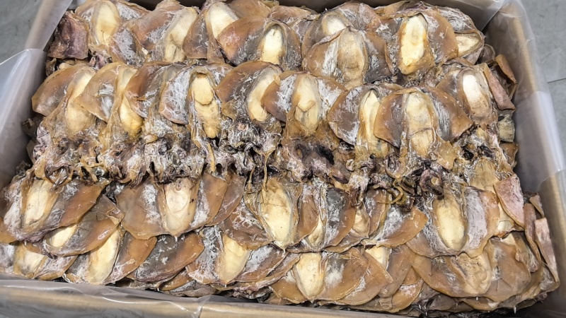 浙江东海本港墨鱼干品质好货量大从优