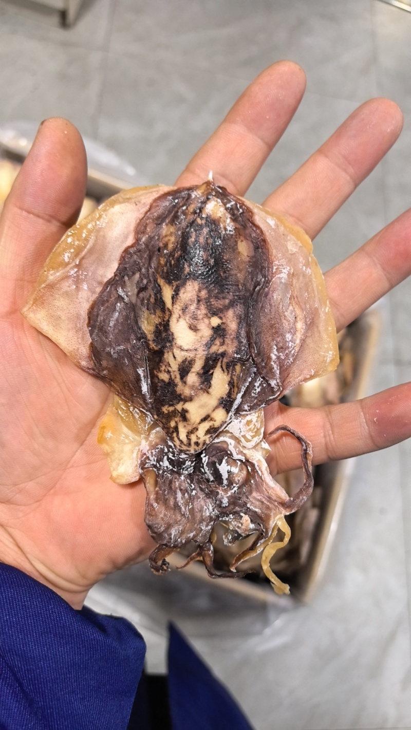浙江东海本港墨鱼干品质好货量大从优