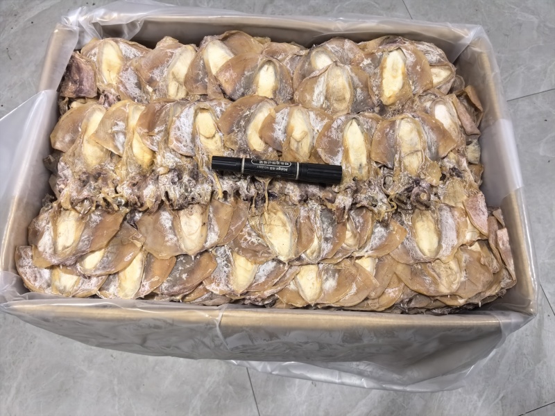 浙江东海本港墨鱼干品质好货量大从优