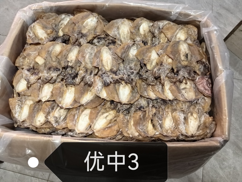 浙江东海本港墨鱼干品质好货量大从优