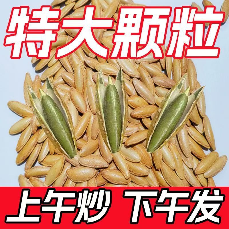 厂家代发美人甲南瓜子新货新疆甲长粒椒盐味健康南瓜籽新疆特