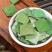 荷叶茶