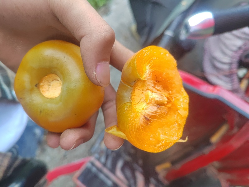 贵州小甜柿字，需要直接联系，包甜可谈价