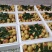 大荔冬枣