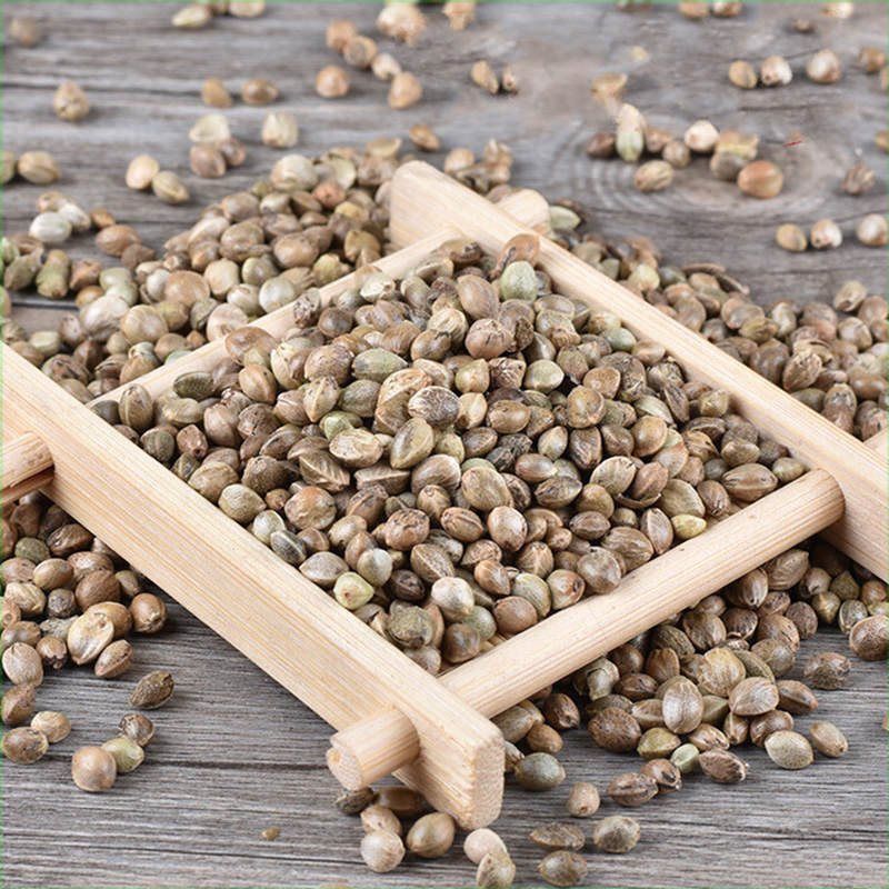 火麻子中颗粒大颗粒鸟食中药材批发源头供应