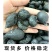 乌灵参颜色深个头饱满乌林参乾坤参吊葫芦鸡枞胆吊金钟雷震子
