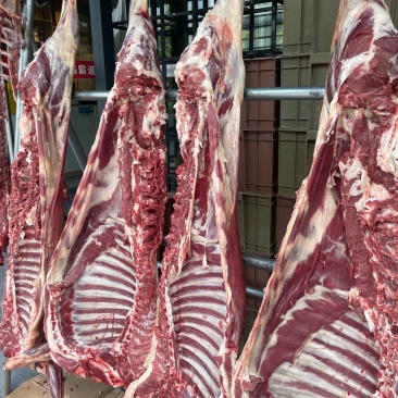 空运销售新疆羊肉