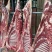空运销售新疆羊肉