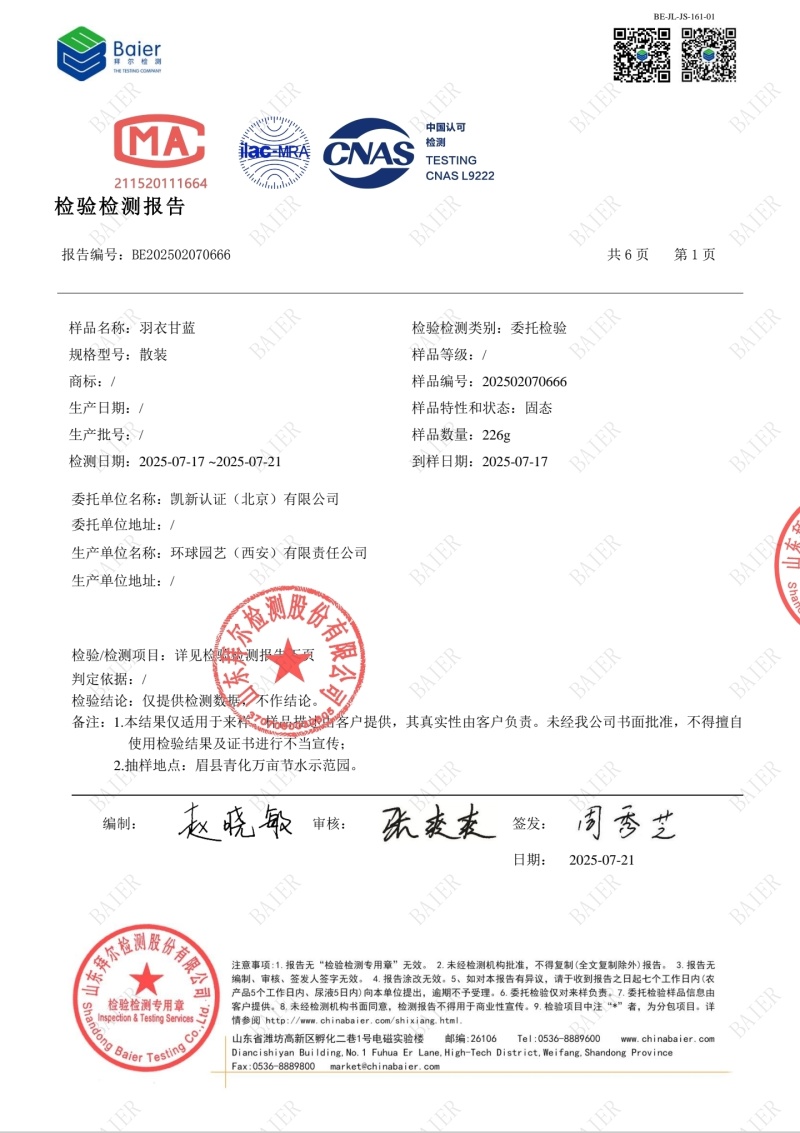 羽衣甘蓝大量供应新鲜采摘发货品质保证欢迎来电洽谈合作