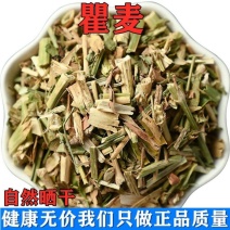 瞿麦巨麦翟麦石竹/巨句麦山瞿麦中药材蜀羊泉老鹤草瞿麦山瞿