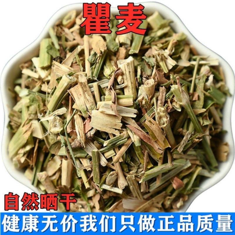 瞿麦巨麦翟麦石竹/巨句麦山瞿麦中药材蜀羊泉老鹤草瞿麦山瞿