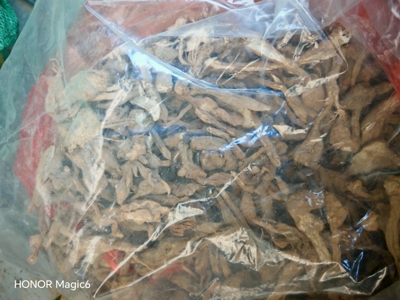云南文山的野生鲜货，干货的葛根药材店
