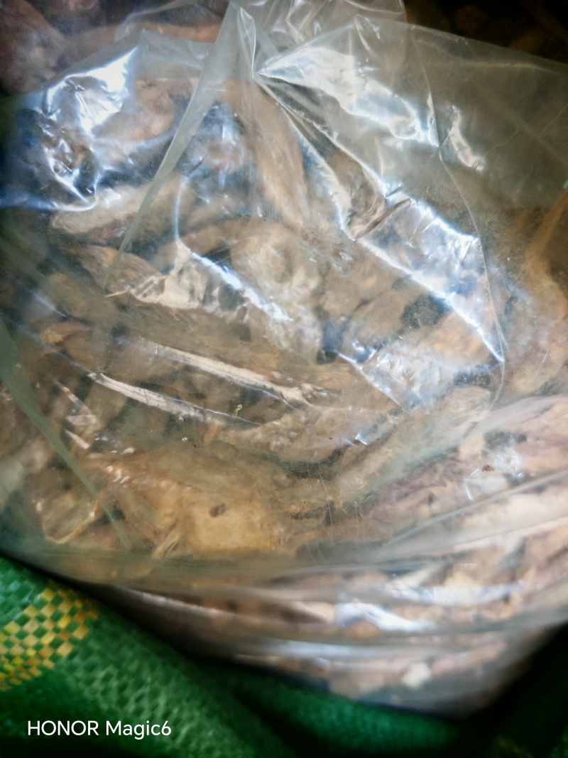 云南文山的野生鲜货，干货的葛根药材店