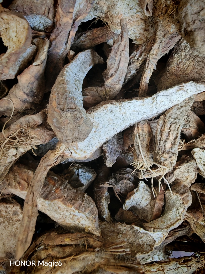 云南文山的野生鲜货，干货的葛根药材店