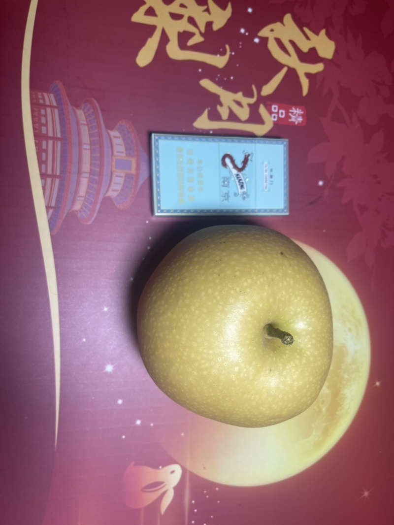 莱西秋月梨