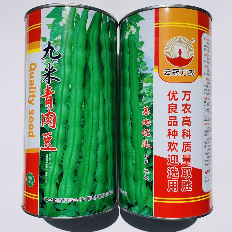 九米青肉豆种子基地优选高产抗病肉豆架豆种子嫩荚肉厚春秋