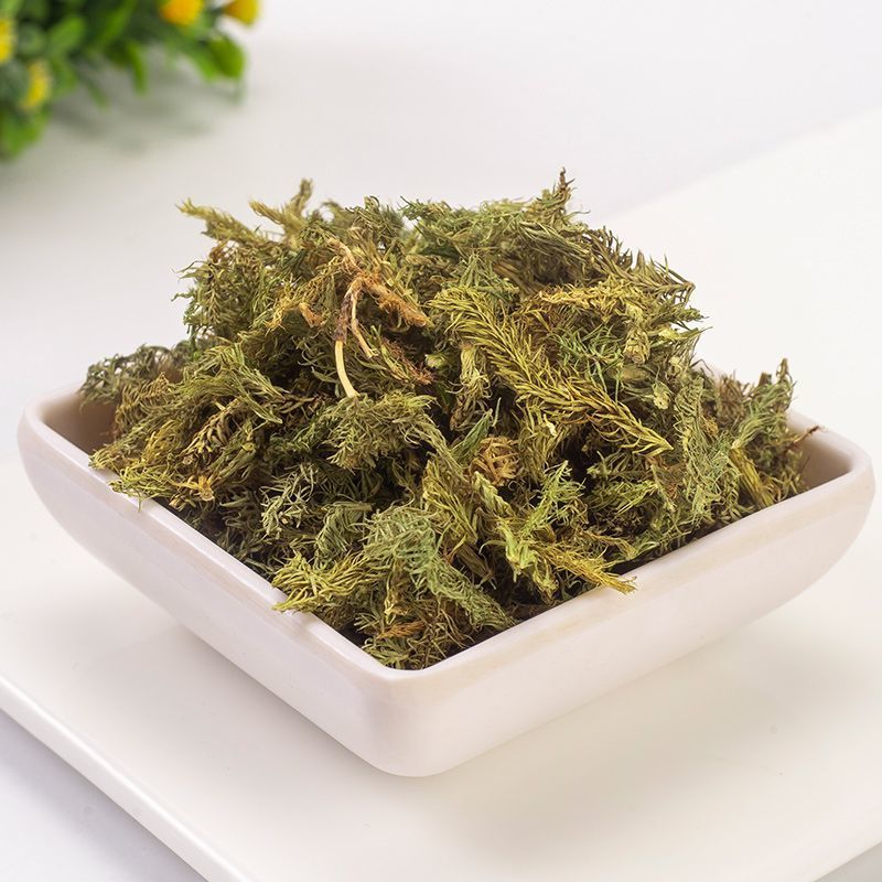 伸筋草中药材伸筋草批发伸筋草粉伸筋草泡茶无硫筋骨草可打粉