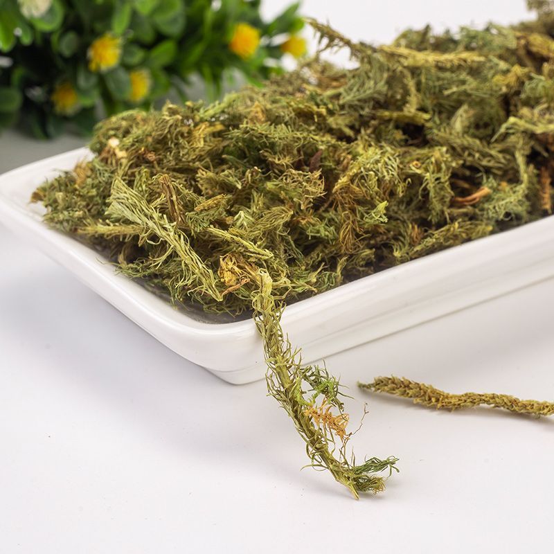 伸筋草中药材伸筋草批发伸筋草粉伸筋草泡茶无硫筋骨草可打粉