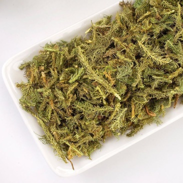 伸筋草中药材伸筋草批发伸筋草粉伸筋草泡茶无硫筋骨草可打粉
