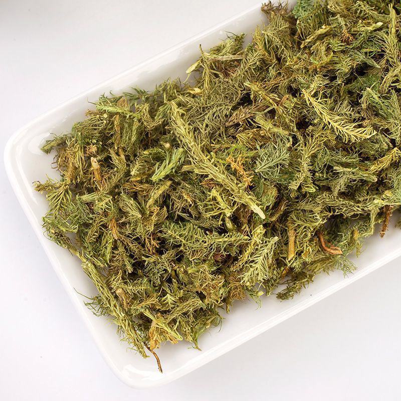 伸筋草中药材伸筋草批发伸筋草粉伸筋草泡茶无硫筋骨草可打粉